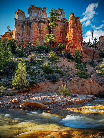 Bryce-Creek